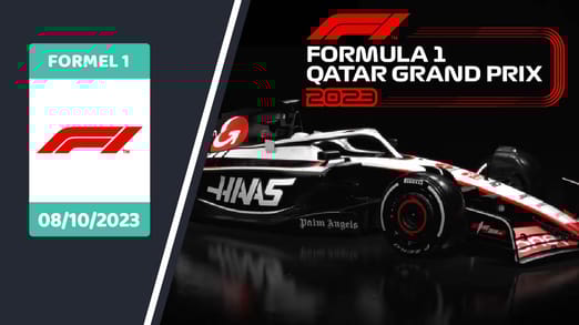 Qatar Grand Prix Formula 1 World Championship